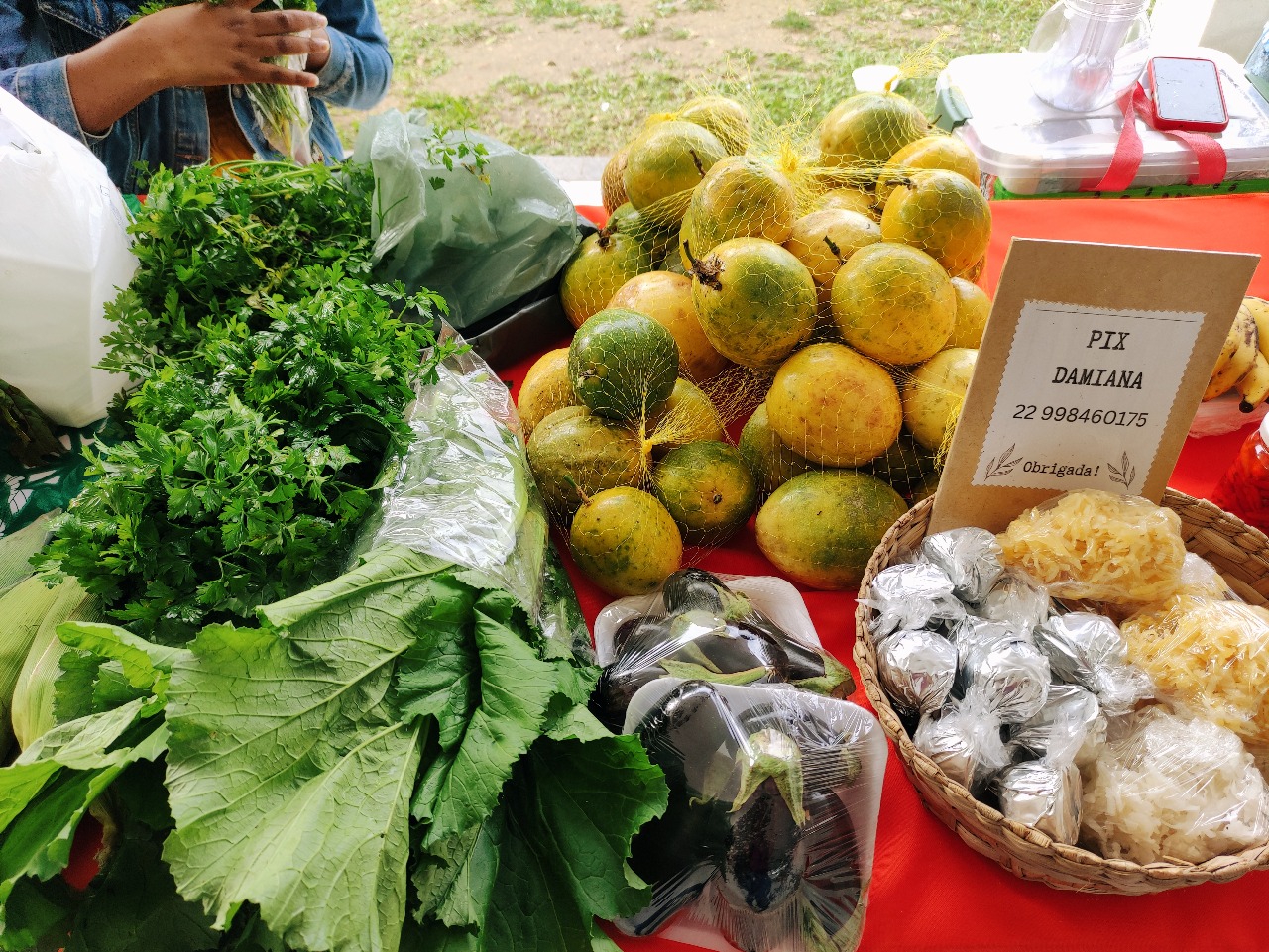Bancada externa com hortaliças grandes e folhas verdes frescas, ao lado de
      uma pilha de maracujás envoltos em tela plástica e cestinho com salgados embalados em
      filme transparente.